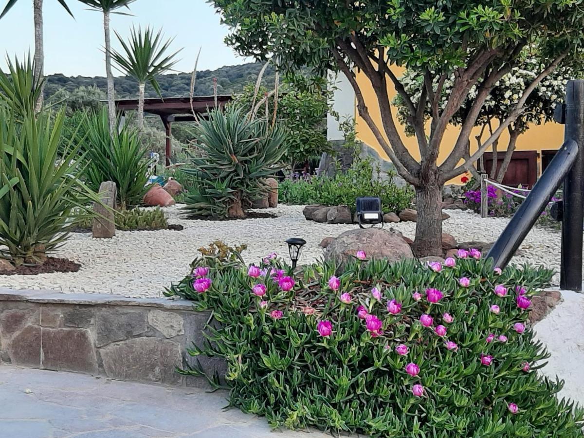 Villa Saige , Piscina Ad Uso Esclusivo, Con Idromassaggio Αλγκέρο Εξωτερικό φωτογραφία