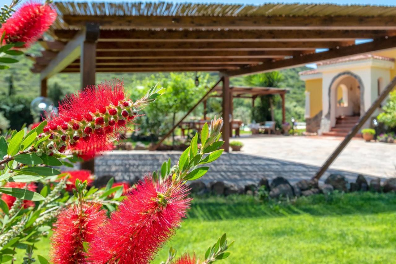 Villa Saige , Piscina Ad Uso Esclusivo, Con Idromassaggio Αλγκέρο Εξωτερικό φωτογραφία