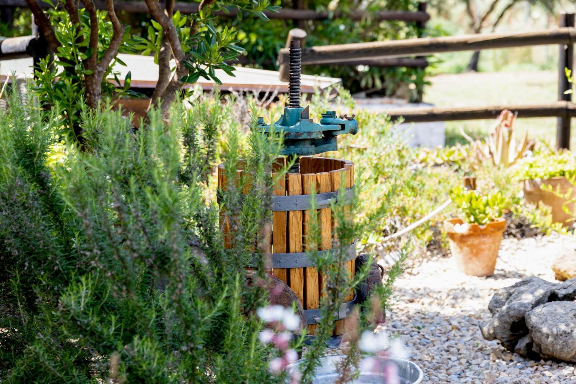 Villa Saige , Piscina Ad Uso Esclusivo, Con Idromassaggio Αλγκέρο Εξωτερικό φωτογραφία